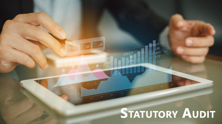 Statutory Auditing Services